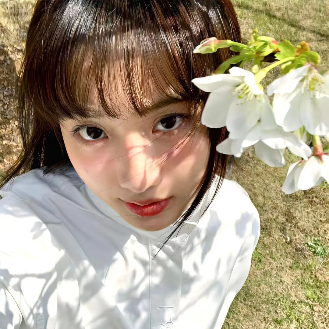 泰山宝藏