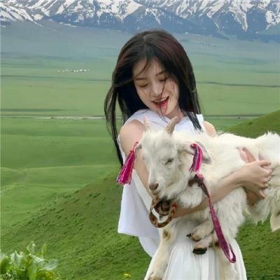 大搜查线3:全面动员