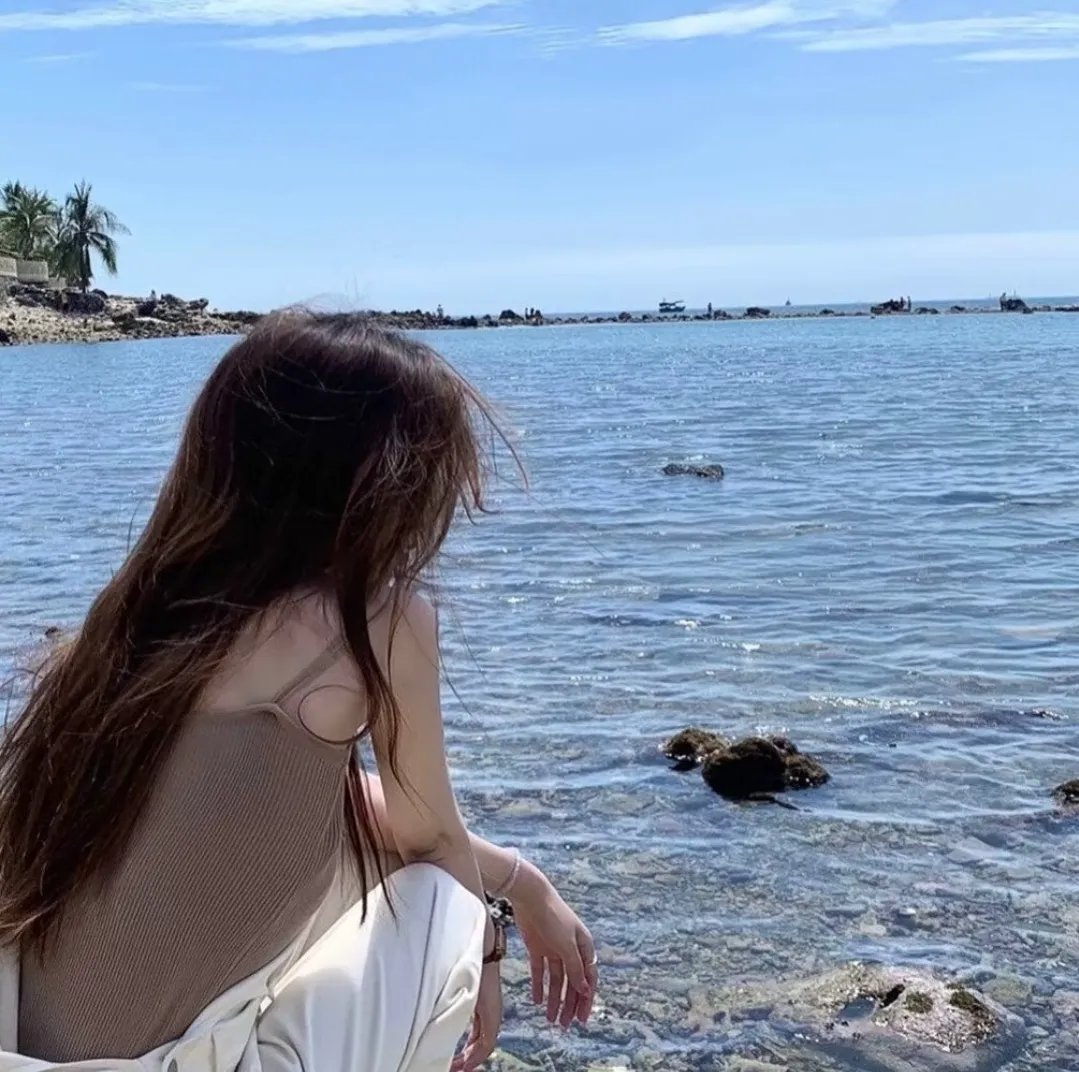 小乌龟福兰克林